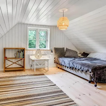 Bv351-blavand-contortavej-3