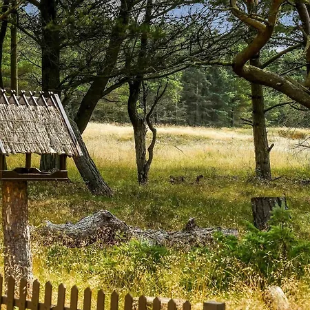 Bv351-blavand-contortavej-3 *