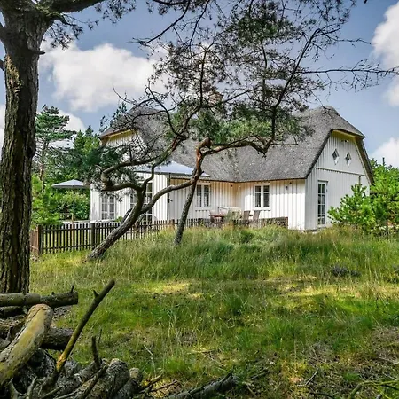 Bv351-blavand-contortavej-3 * ブラーバンド