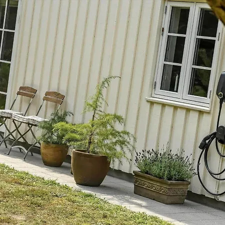 Bv351-blavand-contortavej-3 * Blavand