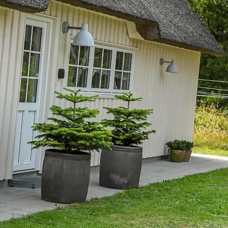 Bv351-blavand-contortavej-3 * Blåvand