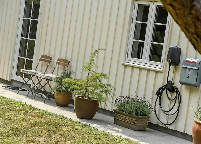 Bv351-blavand-contortavej-3 * Blavand