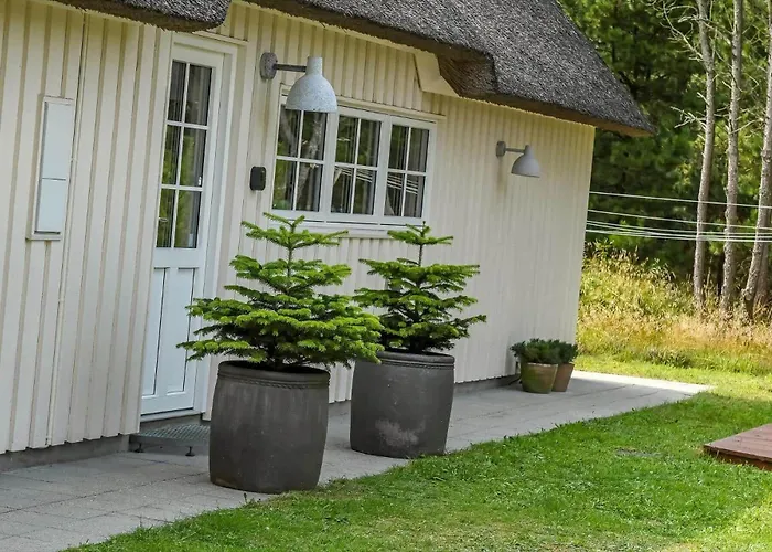 Bv351-blavand-contortavej-3 * Blåvand