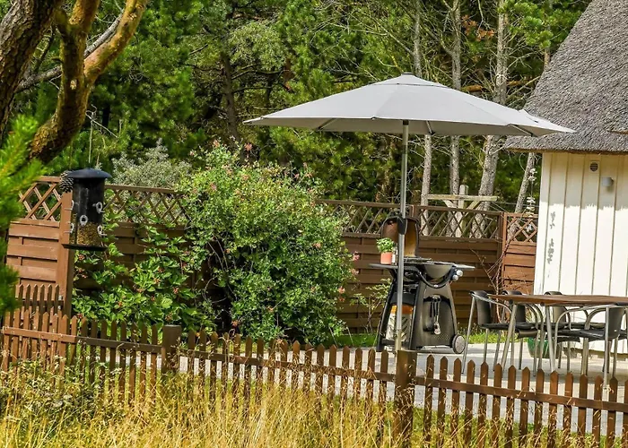 Bv351-blavand-contortavej-3 Blavand