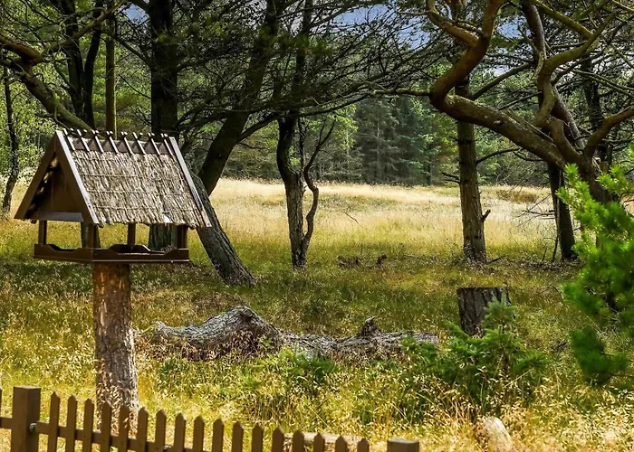 Bv351-blavand-contortavej-3 * Blåvand