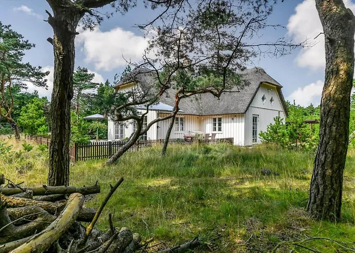 Bv351-blavand-contortavej-3 Blåvand